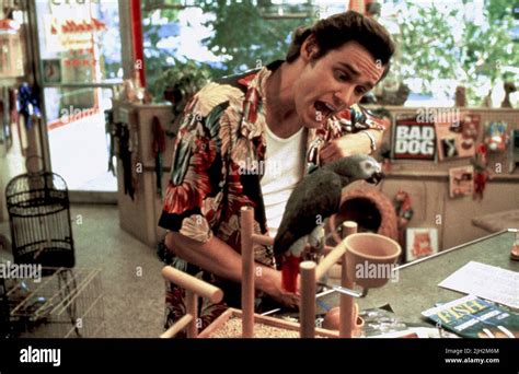 JIM CARREY, ACE VENTURA: PET DETECTIVE, 1994 Stock Photo - Alamy