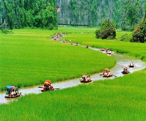 delta red river vietnam – Pesquisa Google | Vietnam reizen, Vakantie, Reizen