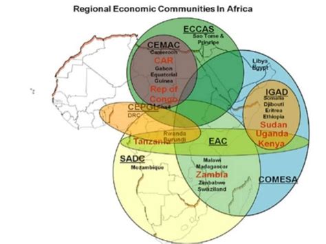 Regional economic integration in Africa