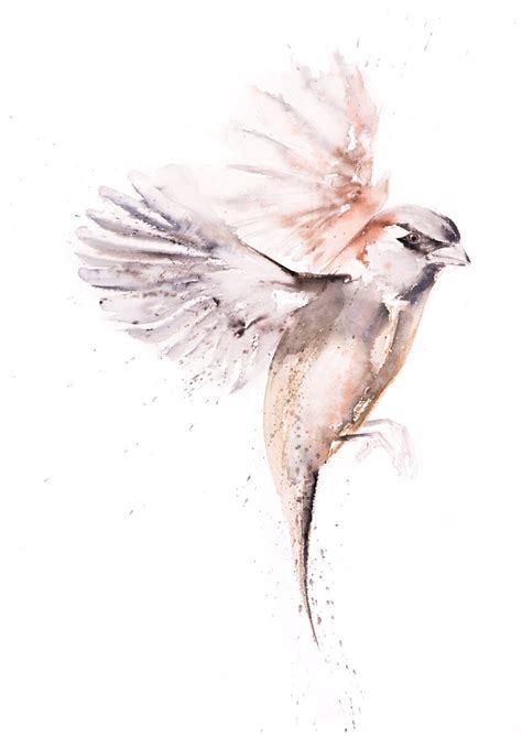 Just a Sparrow Painting - Sparrow Watercolour - Hand Signed Numbered Embossed Limited Edition ...