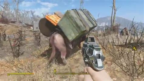 Fallout 4: Brahmin Trouble - YouTube