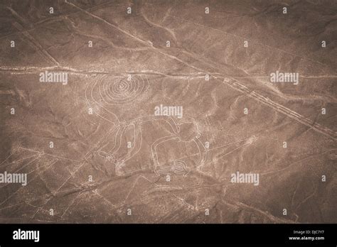 The Monkey, Nazca Lines, Nazca, Peru Stock Photo - Alamy