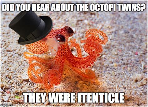 Sir octopus Memes - Imgflip