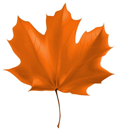 Free Leaf Png, Download Free Leaf Png png images, Free ClipArts on ...