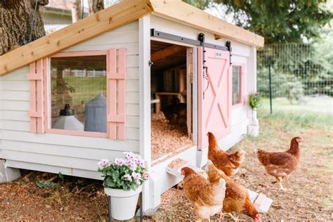 My Backyard Chicken Coop Makeover | Chicken garden, Backyard chicken coop plans, Chicken coop ...