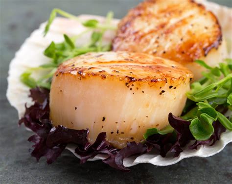 Scallop Type Definition at Glory Frey blog