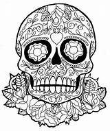 Skull Coloring Pages For Adults  Best Kids sketch template
