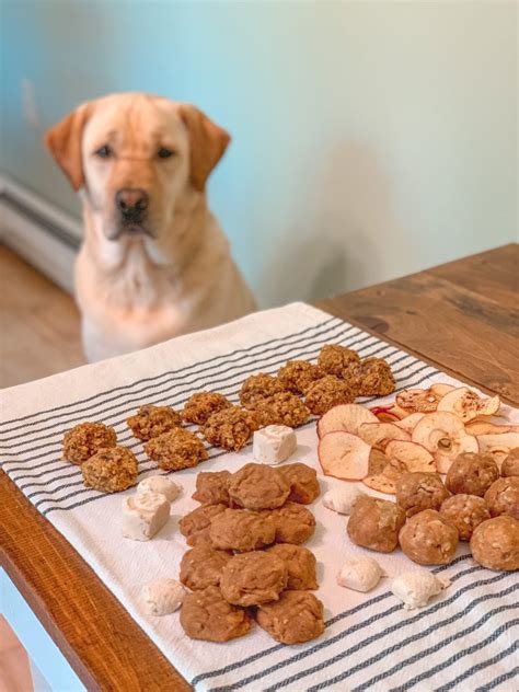 How To Make Your Dog Treats at robertaagilliam blog