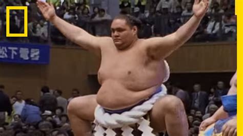 Sumo Wrestling 101 | National Geographic - YouTube