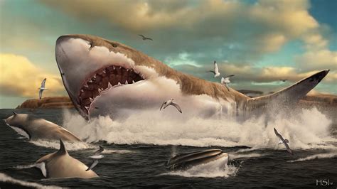 Megalodon nurseries reveal world’s largest shark had a soft side – VectorsJournal