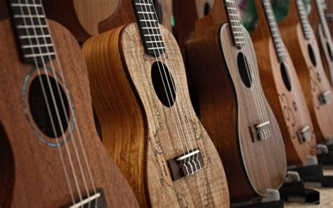 11 Best Ukulele Brands 2022 - Ukulele World