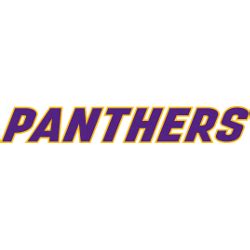 Northern Iowa Panthers Wordmark Logo | SPORTS LOGO HISTORY