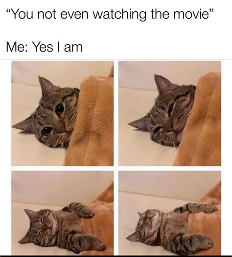 Every movie night : r/memes