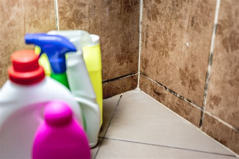 How to Get Rid of Mold in Your Bathroom