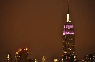 NYU lights on the Empire State Building I Love Ny, Nyu, Living In New York, Empire State ...
