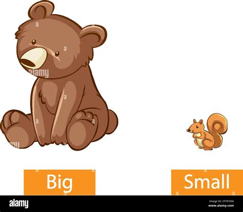 Opposite adjectives words with big and small illustration Stock Vector Image & Art - Alamy