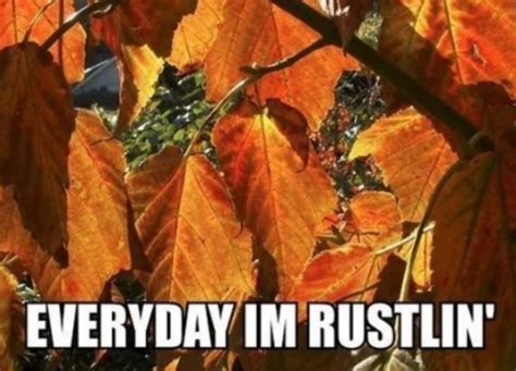 Autumn Memes | Fun