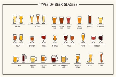 Types of Beer Glasses - The Definitive Beer Glassware Guide