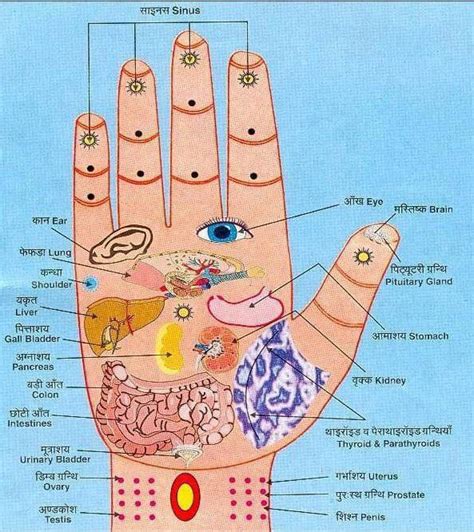 Acupressure Points Chart Hand