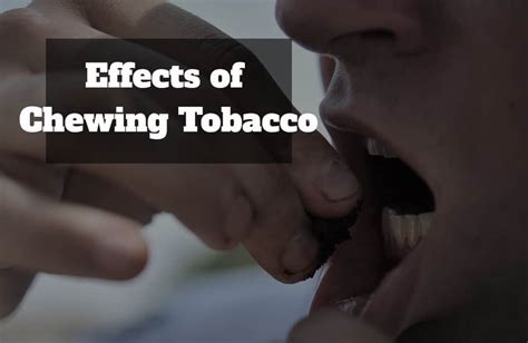 Effects of Chewing Tobacco - BaccOff