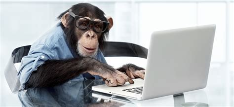 The Infinite Monkey Theorem Comes To Life | NCPR News