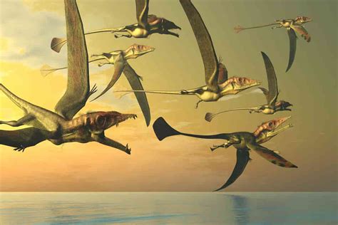 How Many Types of Flying Dinosaurs Are There? – Adventure Dinosaurs