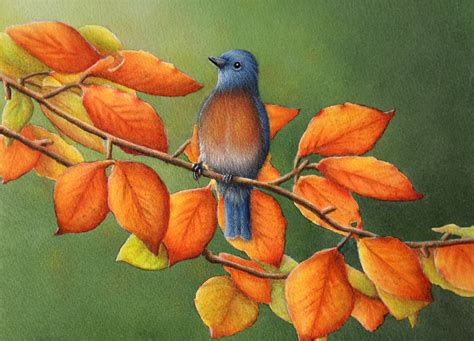 Fall bluebird watercolor painting by Arkansas artist Sheri Hart Arkansas, Hart, Blue Bird ...