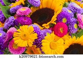 Bunch Flowers Sunflowers Stock Photo Images. 2,831 bunch flowers sunflowers royalty free ...