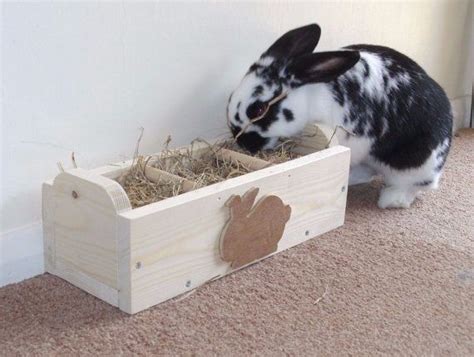 Rabbit Hay Feeder / Feeding Trough - Etsy | Tierfutter, Kaninchen, Haustier