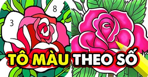 Game Tô màu theo số - Game Vui