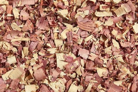 Are Cedar Shavings Safe To Use As Chicken Bedding?