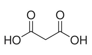 141-82-2 CAS | MALONIC ACID | Acids-Organic | Article No. 4491H