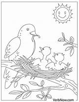 Free BIRD Coloring Pages For Download Printable PDF sketch template