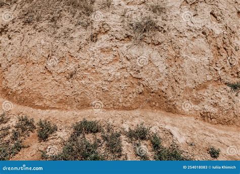 The Natural Texture of the Ground on the Sea Shore. Sandy Clay Soil with Grass Close Up ...