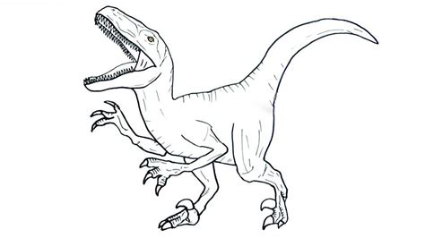 Dinosaur Velociraptor Coloring Pages - Franklin Morrison's Coloring Pages