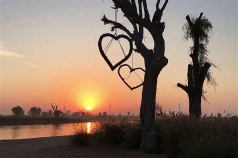 Love Lake Dubai - Why You Must visit Al Qudra Lake