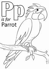 Parrot Letter P Coloring Page  Free Printable Coloring Pages For Kids sketch template