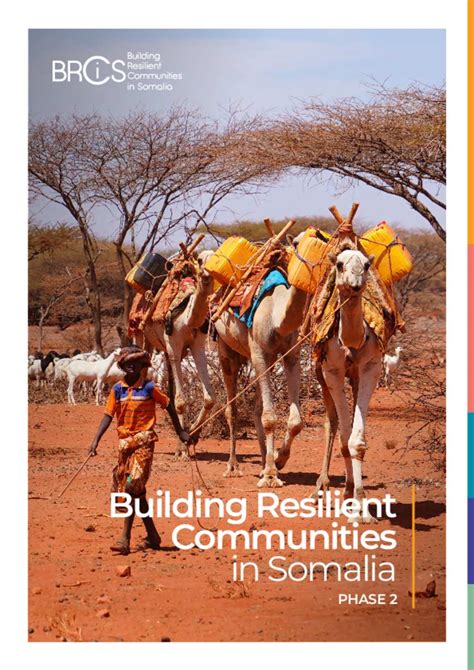 Document - NRC - Building Resilient Communities in Somalia - phase 2