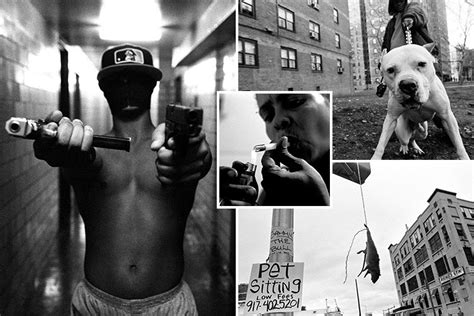 New York gangsters and drugs dealers photographed in some of the most crime-riddled ...