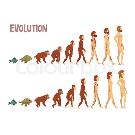 Evolution Of Man Vector at Vectorified.com | Collection of Evolution Of Man Vector free for ...