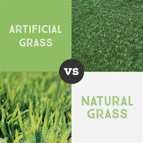 Artificial Grass vs. Natural Grass Comparison | Hill Horticulture