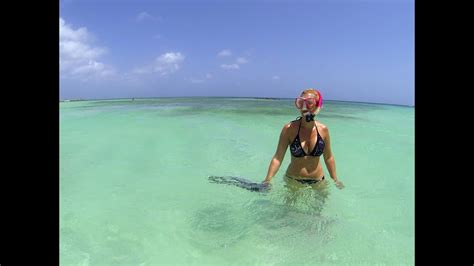 Snorkeling at Palm Beach, Aruba - YouTube