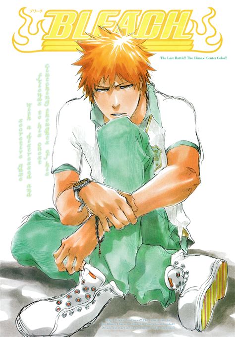 nagareboshi reviews: The Story So Far: Bleach (Karakura Town Arc)