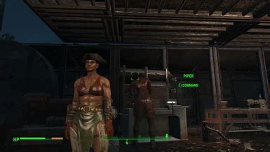 Muscular Female Mod at Fallout 4 Nexus - Mods and community