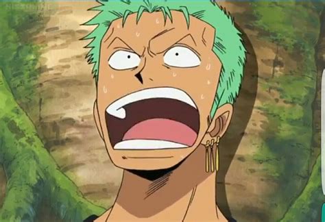 Roronoa Zoro, funny, face, surprised; One Piece | One piece anime ...