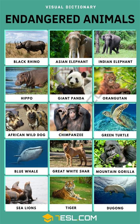 Endangered Animals Names in English • 7ESL
