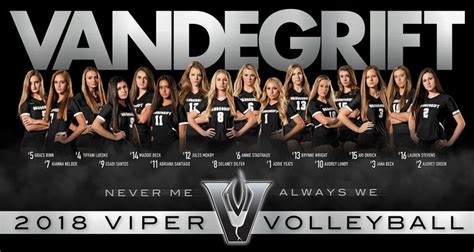 Banner Design for the 2018 Vandegrift Volleyball team (I did not do the ...