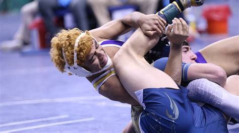 WNC high school wrestling: State championship results
