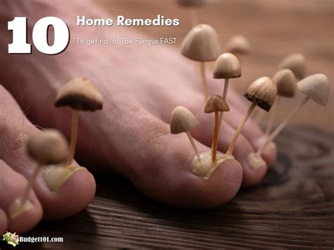 Apple Cider Vinegar Toenail fungus is a notoriously persistent condition, typically caused by a ...