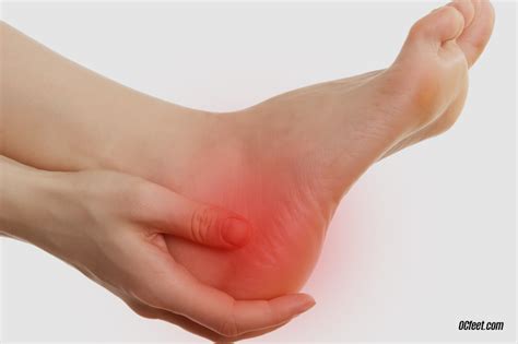 Difference between heel spur and plantar fasciitis information | cathyshepherdot